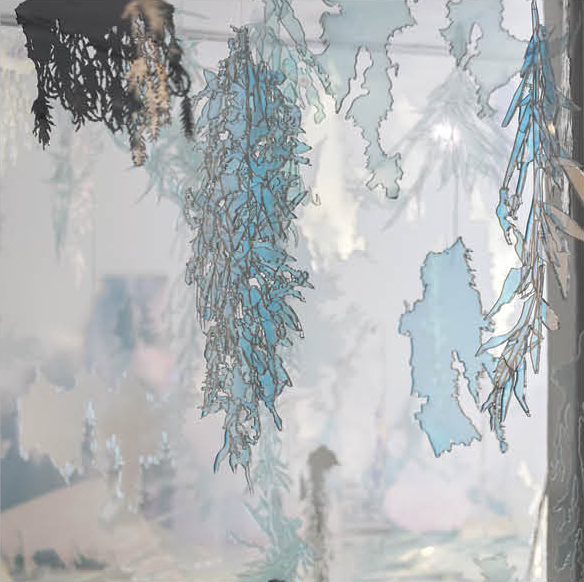 亚克力，大小可变，2016