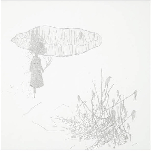 铅笔，水彩画纸，43X36厘米, 2016
