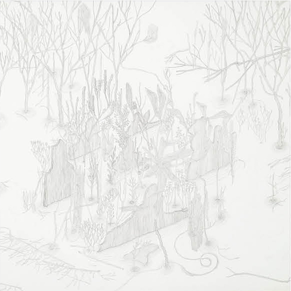 铅笔，水彩画纸，43X36厘米, 2016