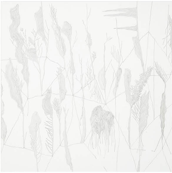 铅笔，水彩画纸，43X36厘米, 2016