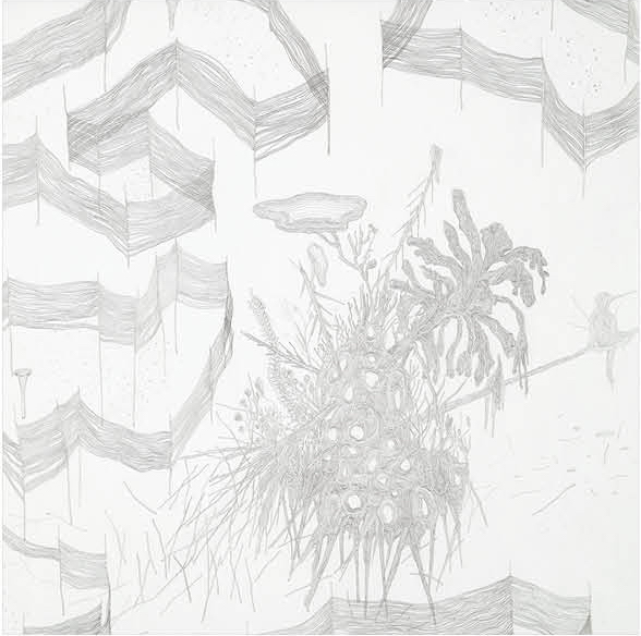 铅笔，水彩画纸， 43X36厘米, 2016